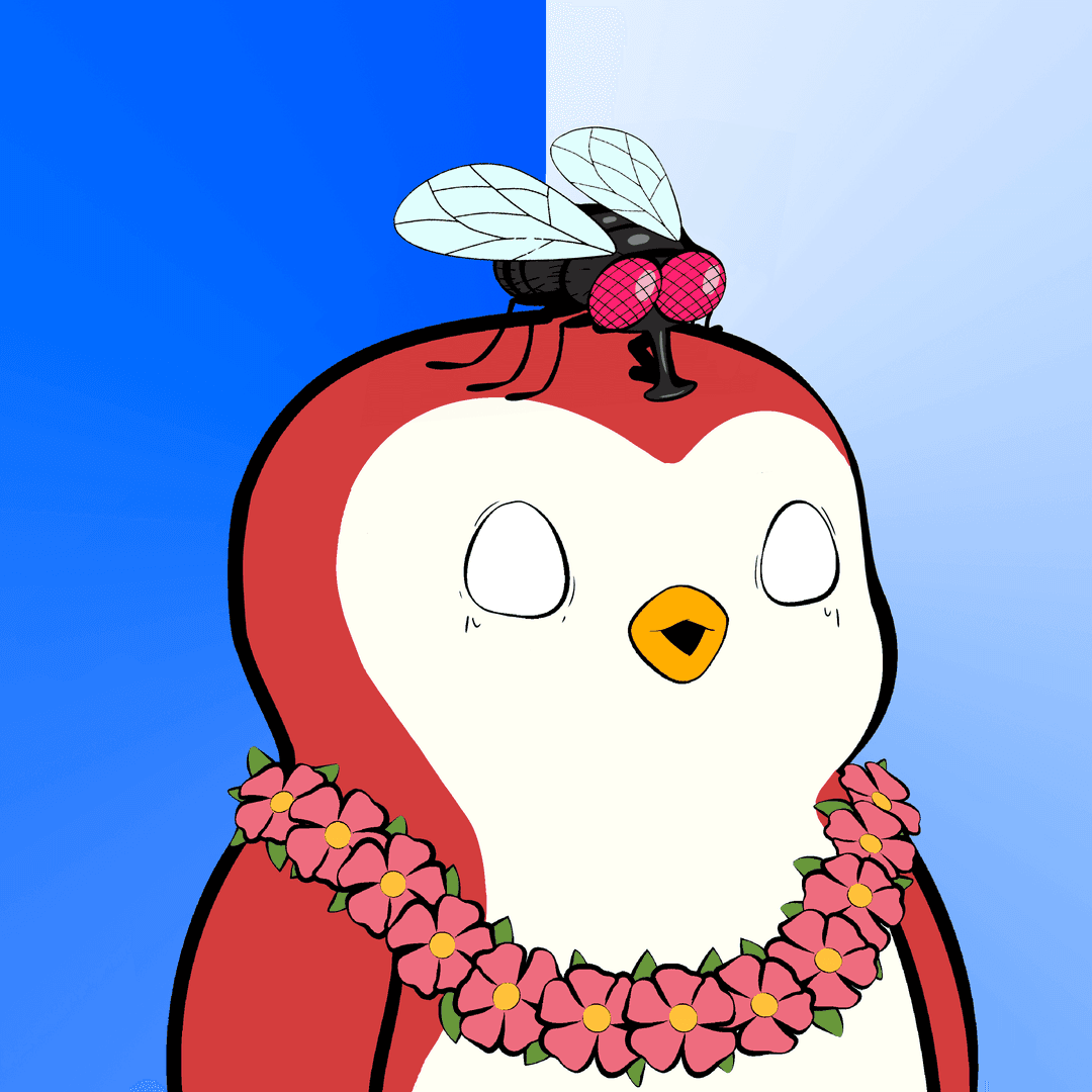 sneakpeak